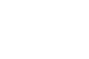 V website logo